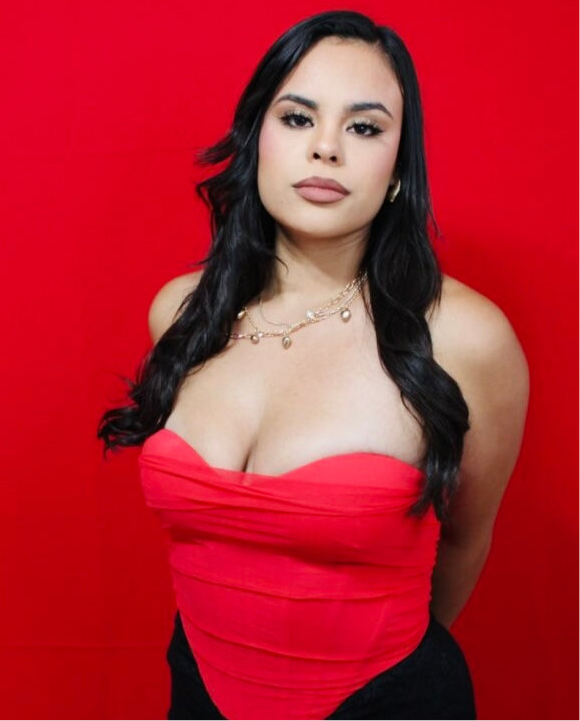 Baddie mesh & bengaline corset top
